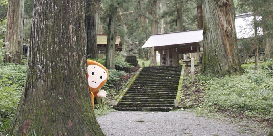 ヒバゴン出没!?の画像