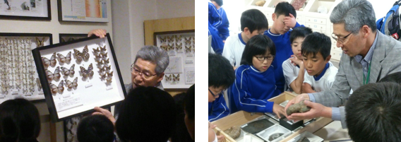展示解説.png
