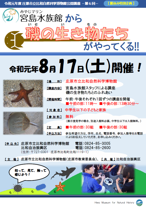 磯の生き物ポスター画像.png