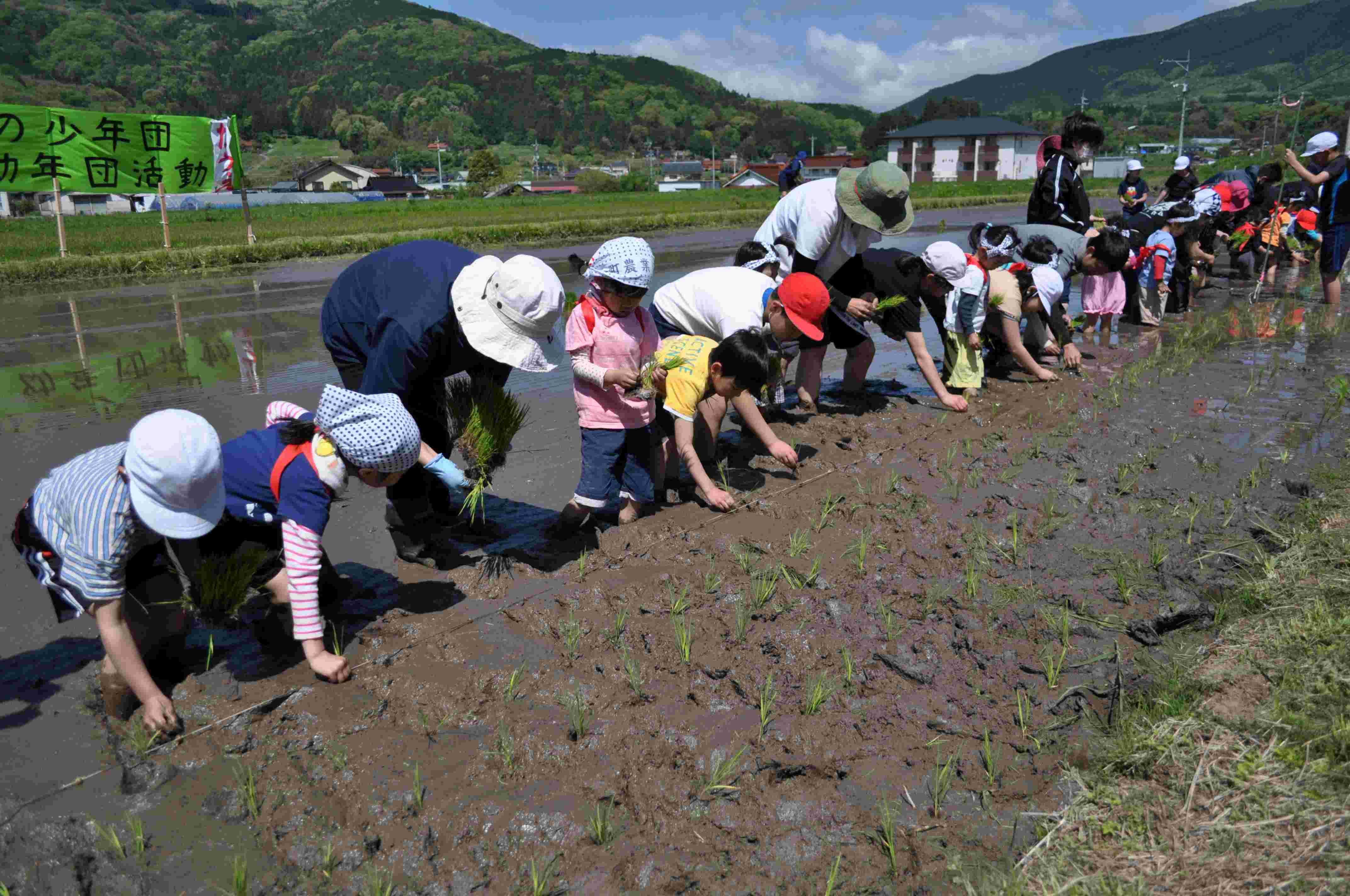 5月小奴可こども園との交流会(田植え).JPG