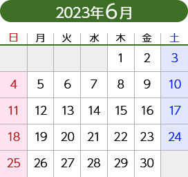 2023年6月