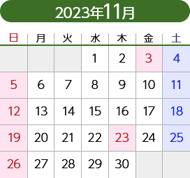 2023年11月