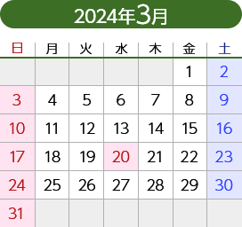 2024年3月