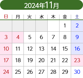 2024年11月