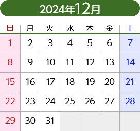 2024年12月