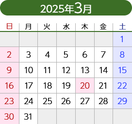 2025年3月