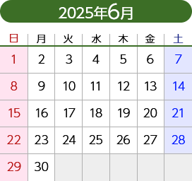 2025年6月