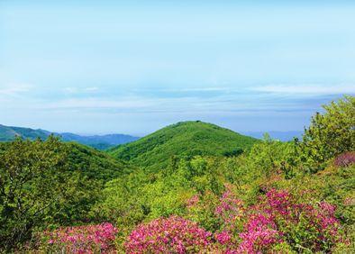 比婆山連峰の主峰「御陵」.jpg