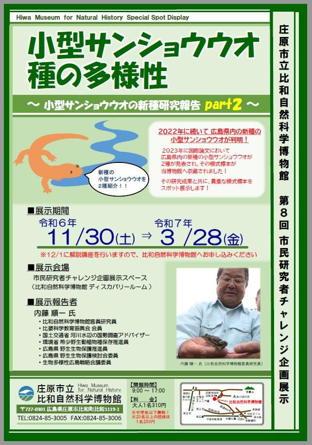 小型サンショウウオ展示.jpg