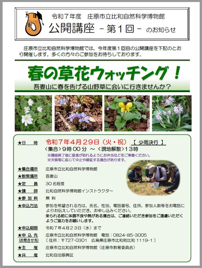 春の草花.jpg