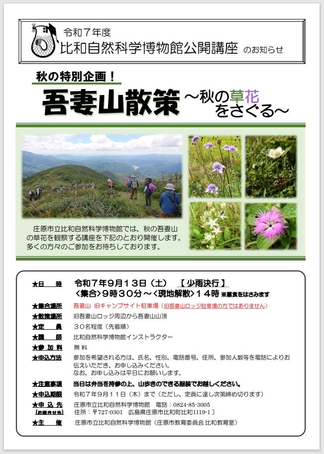 秋の草花.jpg