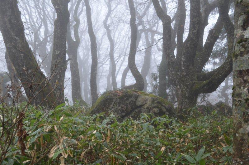 御陵石 比婆山伝説地(御陵石)