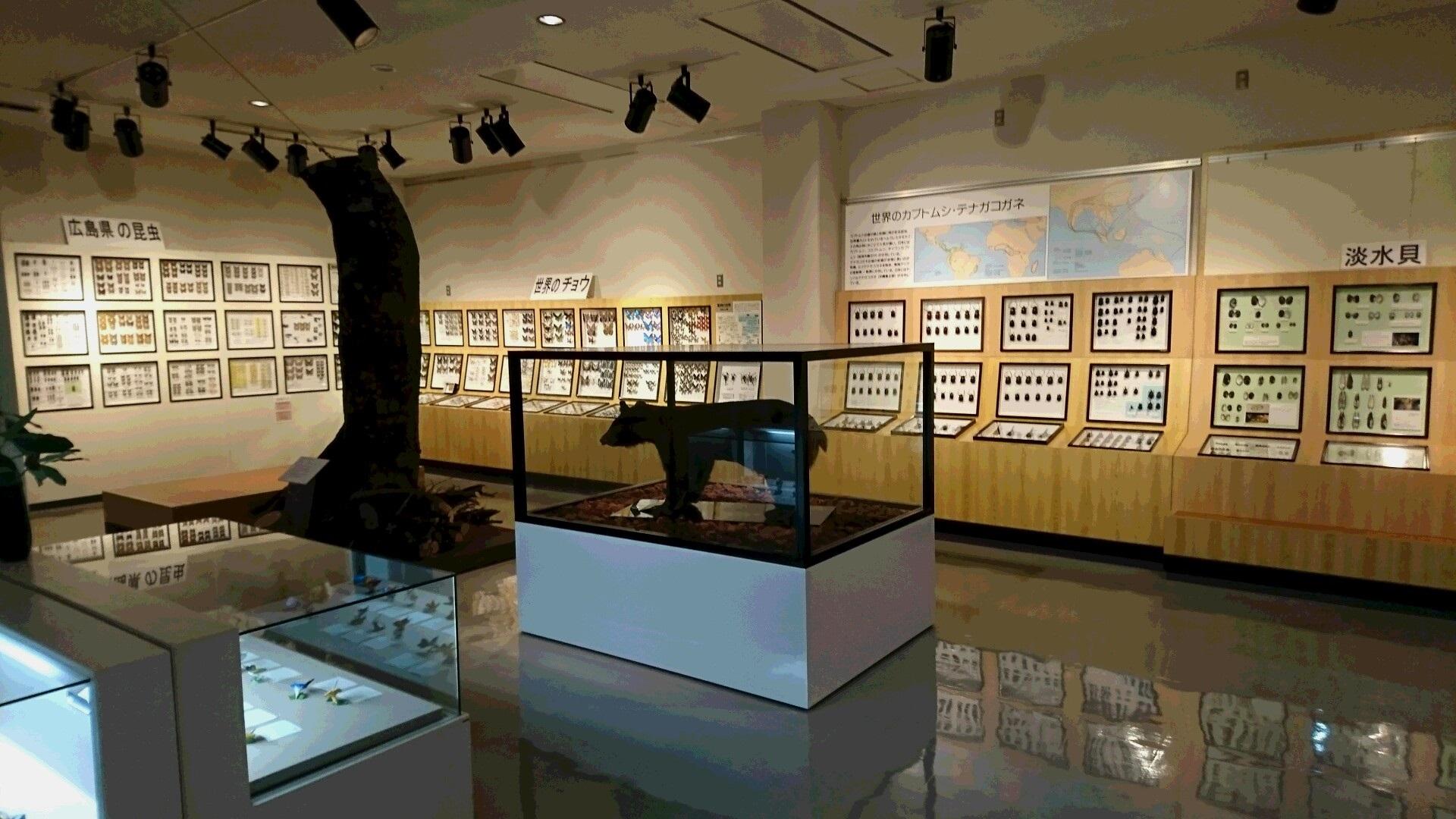 常設展示 比和博物館_常設展示室