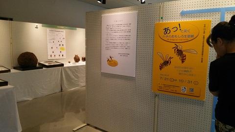 ハチ展 ミニ特別展