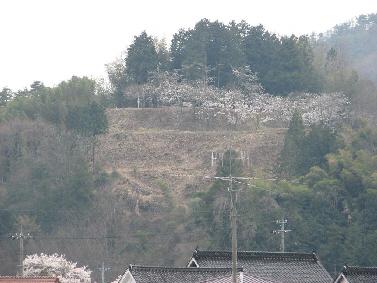 亀山城跡