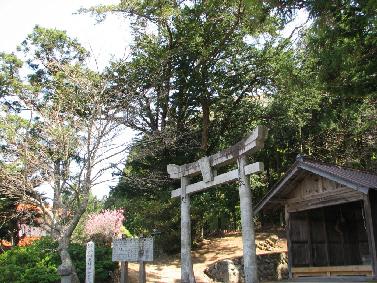 北村神社 北村神社の巨樹群
