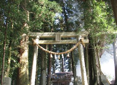 上湯川の八幡神社社叢 上湯川の八幡神社社叢