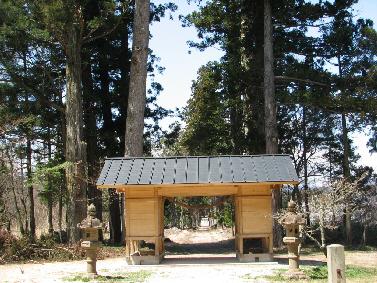 南の八幡神社社叢 南の八幡神社社叢