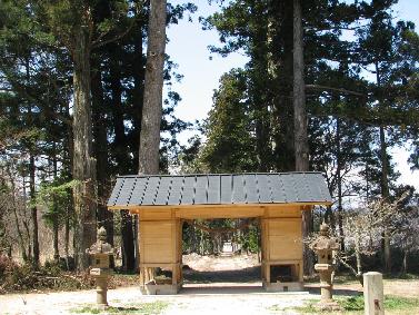 南の八幡神社社叢