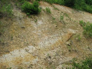大塩崖露頭の地層 大塩崖露頭の地層