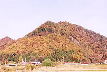 蔀山城跡 蔀山城跡