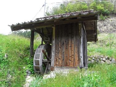 小鳥原のソウズ 小鳥原のソウズ