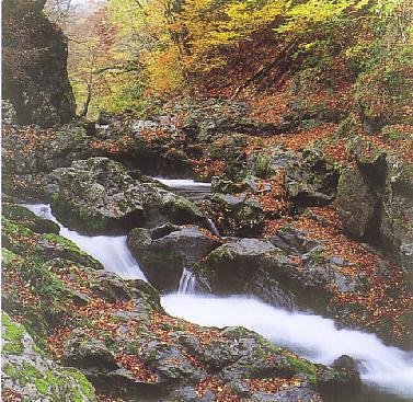 帝釈川の谷（帝釈峡）