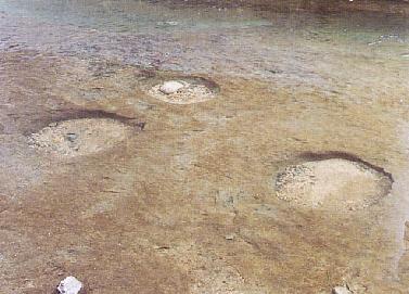 東城川の甌穴 東城川の甌穴