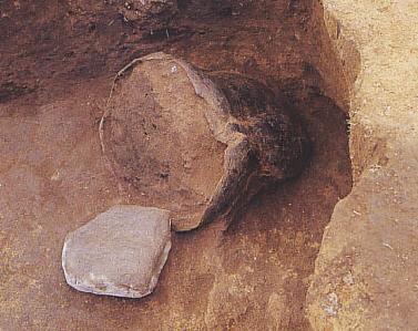 陽内遺跡出土遺物 陽内遺跡出土遺物