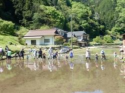 総領 田植え.jpg