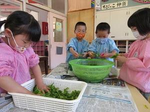 田森①.JPG