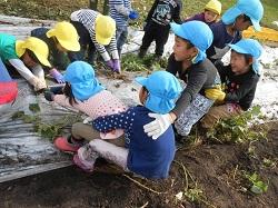菜園活動もします.jpg