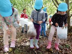 10月栗拾い2.JPG