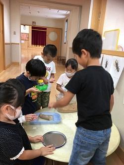 7月自然大好き 虫と友だち2.JPG