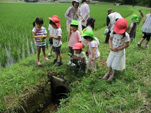 6月散歩2.jpg