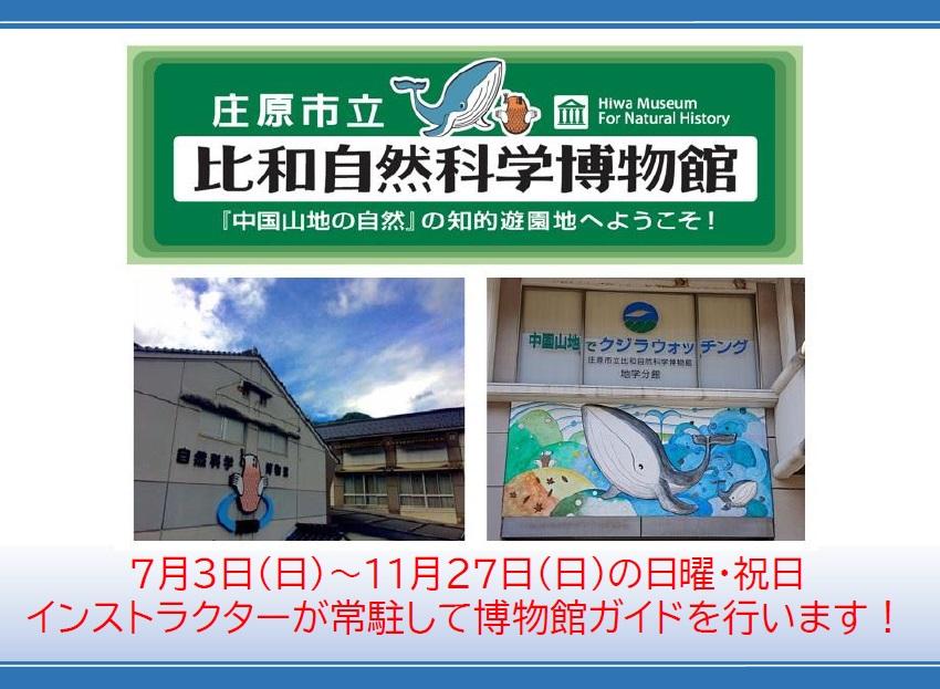 夏季トップ.jpg