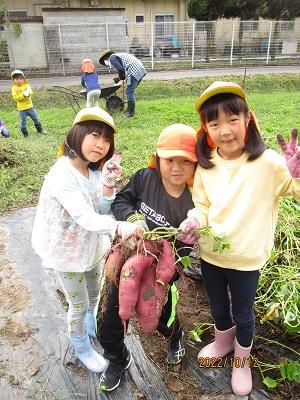 芋掘り .jpg