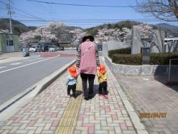 ４月お花見散歩ｺﾋﾟｰ.JPG