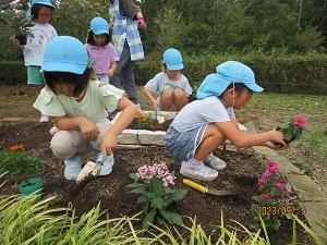 花の苗植え ~丘陵公園~.jpg