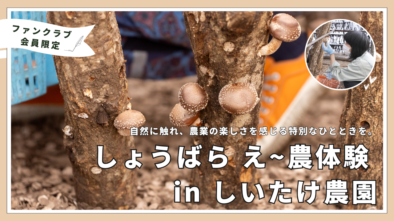 庄原ファンクラブ企画_バナー.png