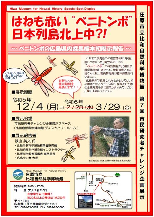 ベニトンボ.jpg
