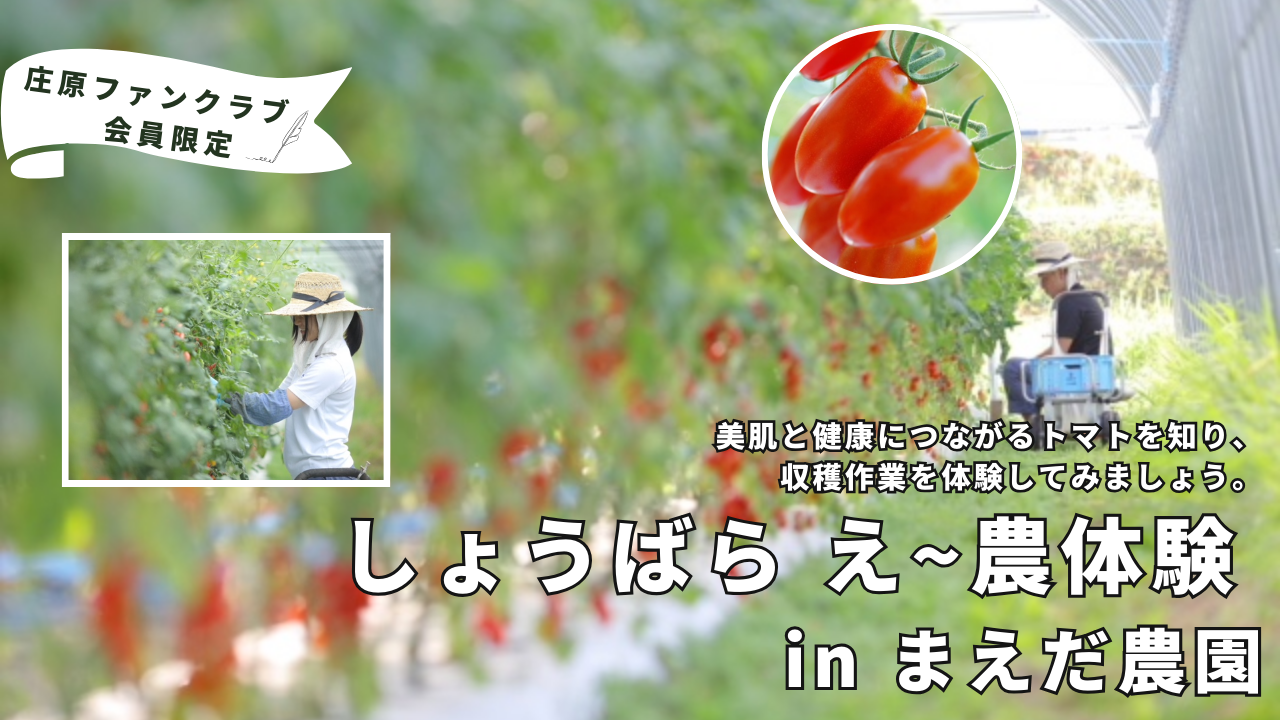 庄原ファン97「まえだ農園」バナー (2).png