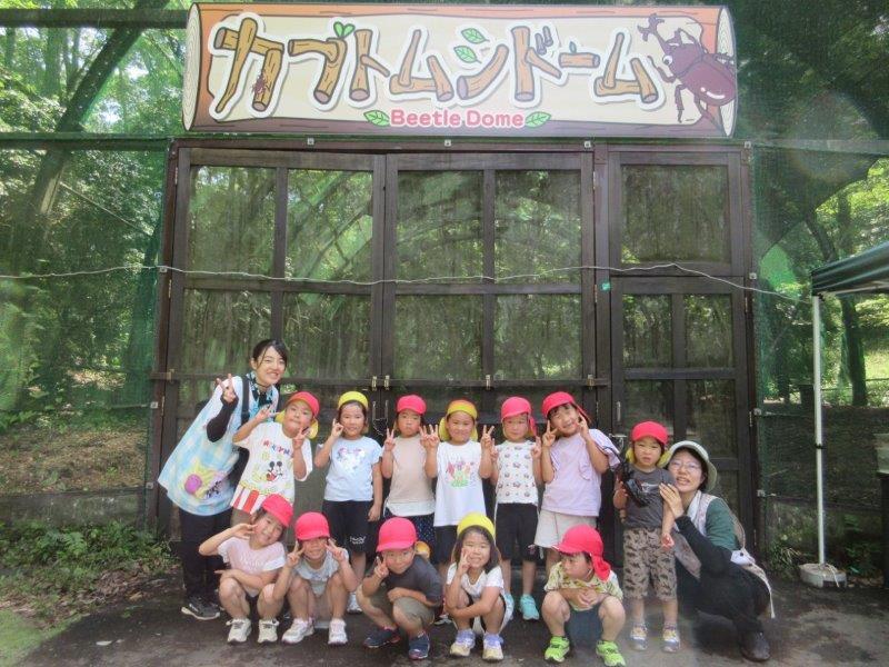 カブトムシ観察会