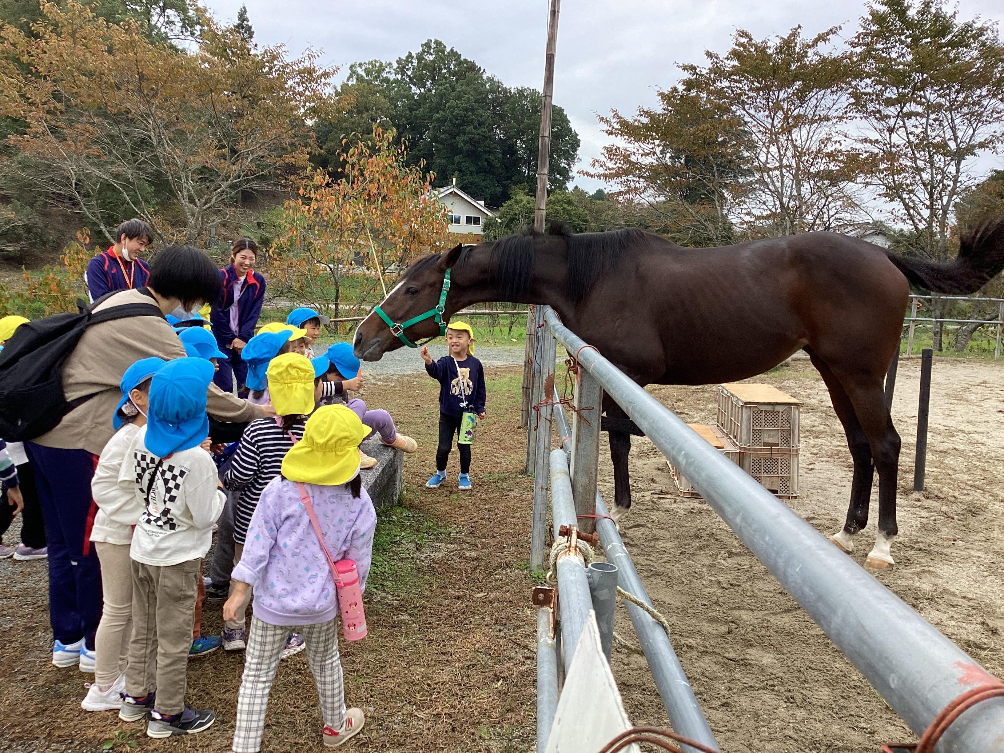 7馬さん、ニンジンどうぞ.JPG