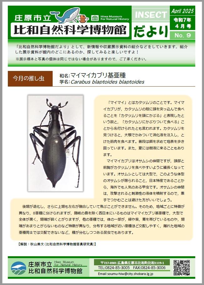 博物館だより９.jpg