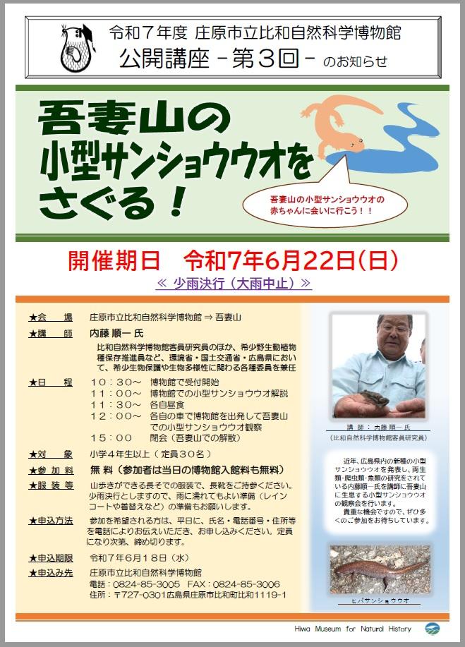 サンショウウオ.jpg