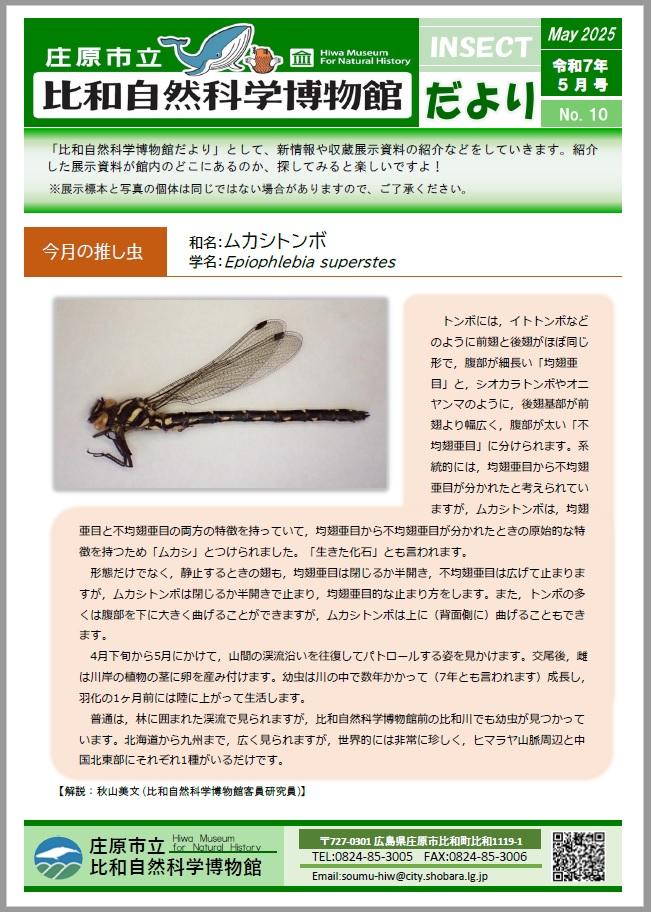 博物館だより5月号.jpg