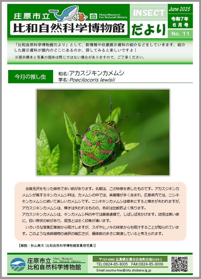 博物館だより11.jpg