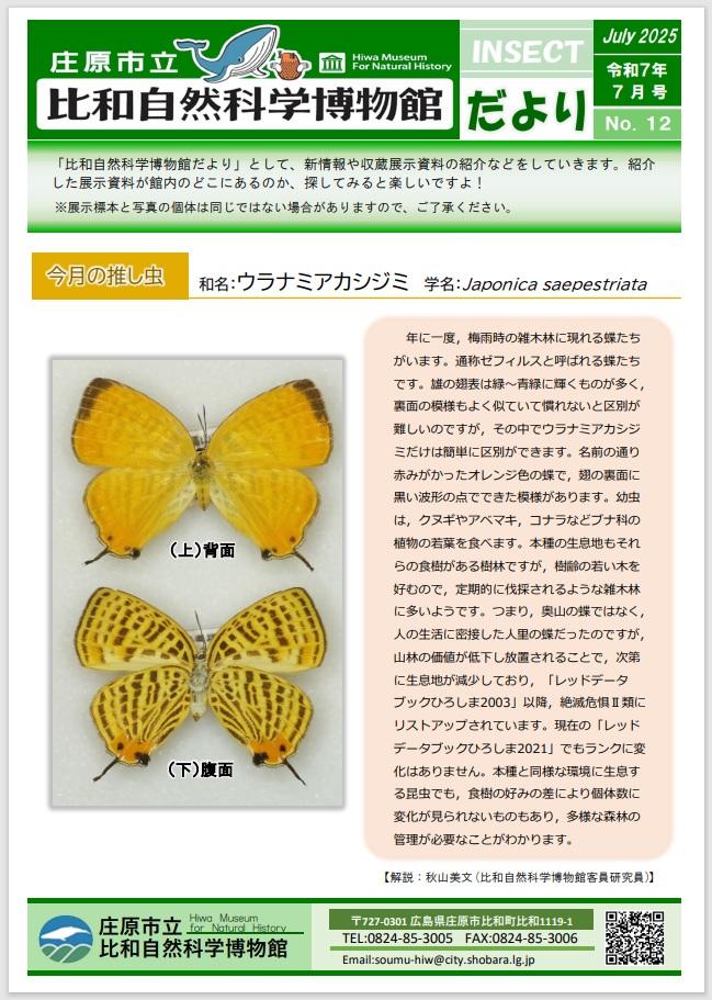 博物館だより12.jpg