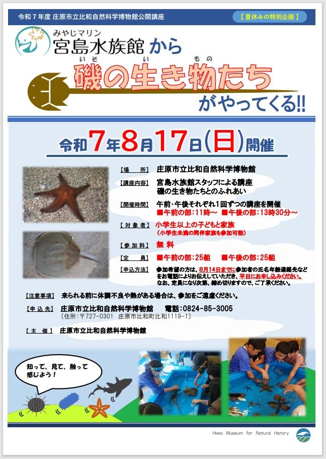 宮島から磯の生き物.jpg